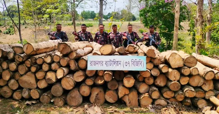 রাঙামাটিতে জব্দকৃত অবৈধ কাঠ